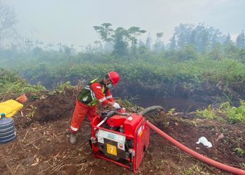 PetroChina Perkuat Upaya Pemadaman Karhutla di HLG Londerang, Jambi