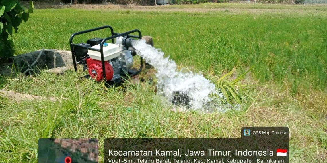 13 Pompa Dikerahkan untuk Atasi Genangan di 120 Ha Sawah Jatim