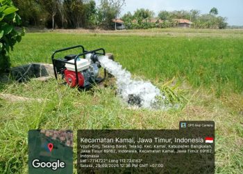 13 Pompa Dikerahkan untuk Atasi Genangan di 120 Ha Sawah Jatim