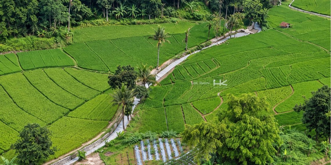 Irigasi Cimanuk Cisanggarung Hasil Rehabilitasi Hutama Karya Perkuat Ketahanan Pangan di Jawa Barat