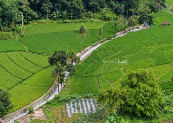 Irigasi Cimanuk Cisanggarung Hasil Rehabilitasi Hutama Karya Perkuat Ketahanan Pangan di Jawa Barat