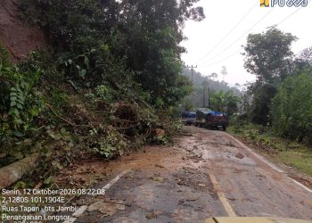 Alat Berat Dikerahkan untuk Percepat Pemulihan 8 Titik Longsor di Ruas Tapan–Jambi