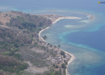 Tinjau Jalan Lintas Utara Flores, Menteri Dody: Labuan Bajo – Maumere Sepanjang 472 Km Tuntas Akhir 2028