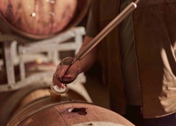 Ekspor Wine ke Indonesia Capai US$ 21 Juta, Australian Wine Kian Agresif Bidik Pasar ASEAN
