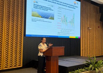 IESR Dorong Keberlanjutan Transisi Energi ASEAN dari Filipina ke Singapura pada 2027