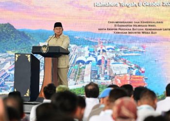 Pemerintah Kawal Hilirisasi, Dorong Pertumbuhan Ekonomi dan Kesejahteraan Masyarakat