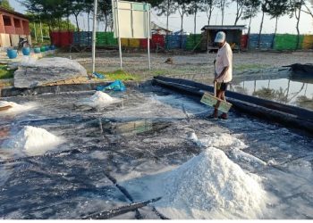 PPM Hulu Migas Pertamina Diklaim Sukses, Investor Asing Menanti Bukti Audit Standar Internasional