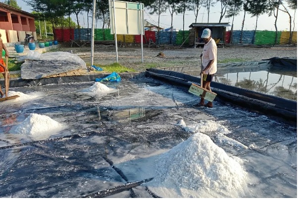 PPM Hulu Migas Pertamina Diklaim Sukses, Investor Asing Menanti Bukti Audit Standar Internasional