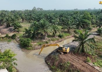 Cegah Gagal Panen, 8.000 Hektare Sawah di Lampung Diselamatkan dari Intrusi Air Laut