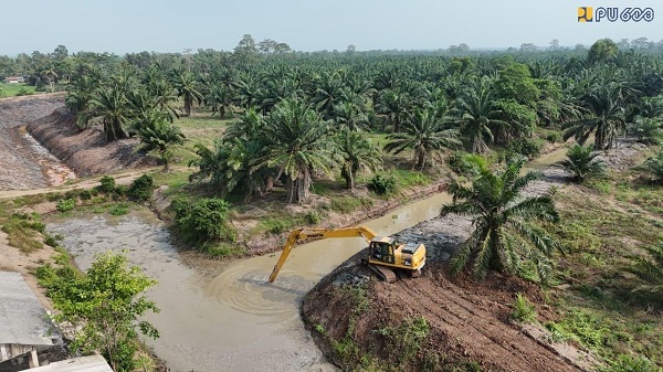 Cegah Gagal Panen, 8.000 Hektare Sawah di Lampung Diselamatkan dari Intrusi Air Laut